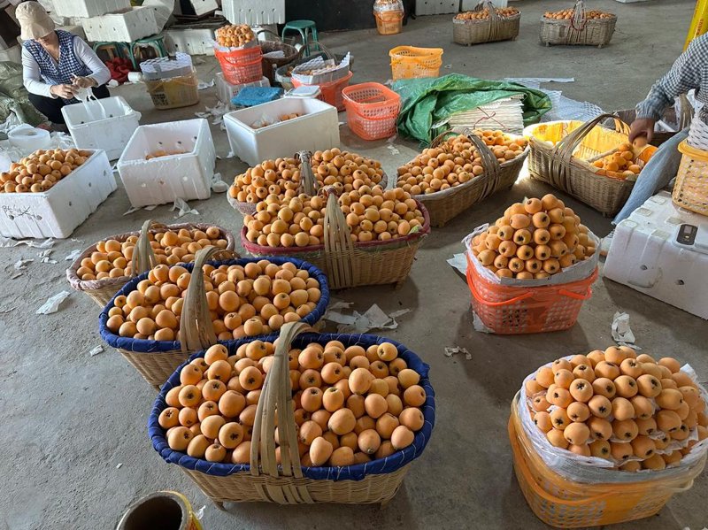 选购指南：如何在水果零售市场挑选优质果品